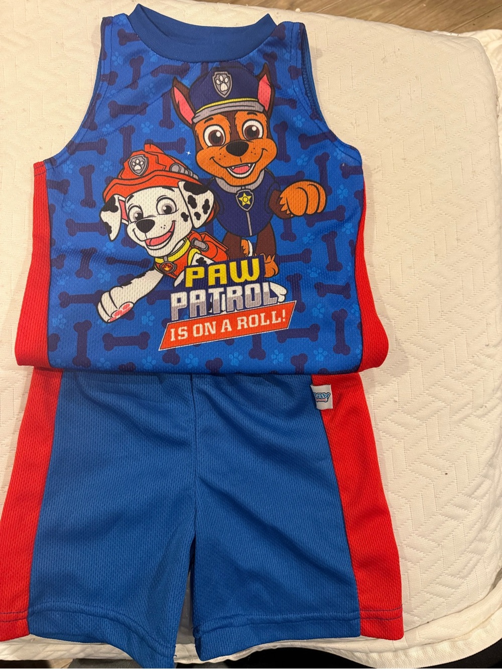 Nickelodeon Blue Kids Shirt and shorts with Orange Tag for kids size 3t set